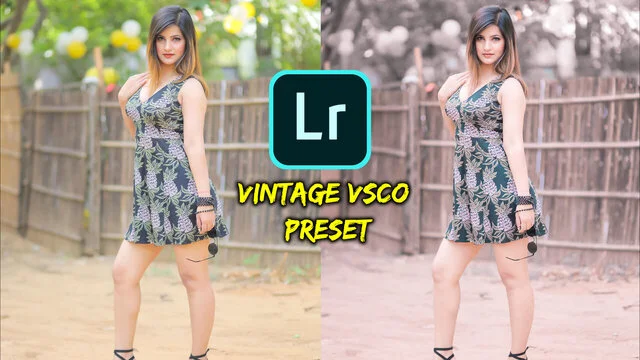 Vintage VSCO Preset Download Free