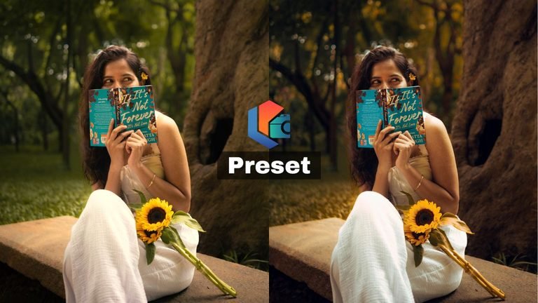 Sr Editing Zone Film Style Lightroom Preset